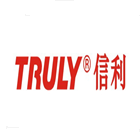 信利电子有限公司